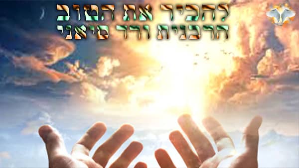 הרבנית ורד סיאני - להכיר את הטוב